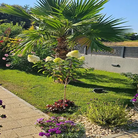 Nina In Croatia Near The Adriatic Coast Zaton (Zadar)